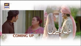 Dil-e-Veeran Episode 47 - 26th Jul 2022